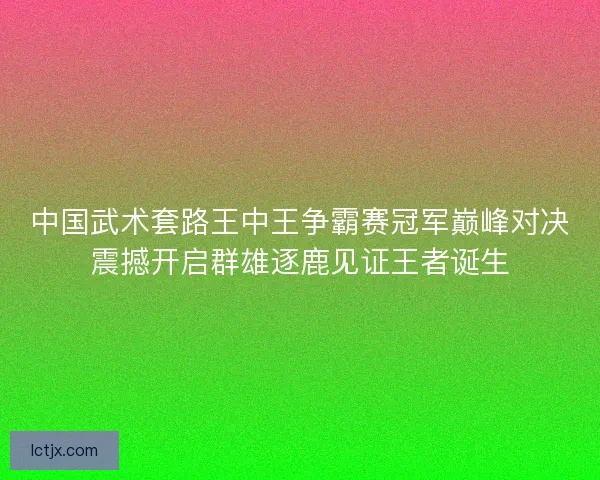 中国武术套路王中王争霸赛冠军巅峰对决震撼开启群雄逐鹿见证王者诞生